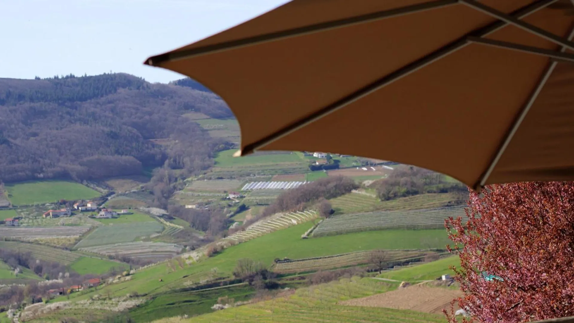 Gite 75M² Avec Terrasse, Nature Et Vtt - Fr-1-496-99 Valfleury 0*,  France